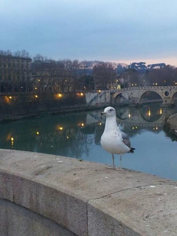 Welcome To Rome B&B Екстер'єр фото
